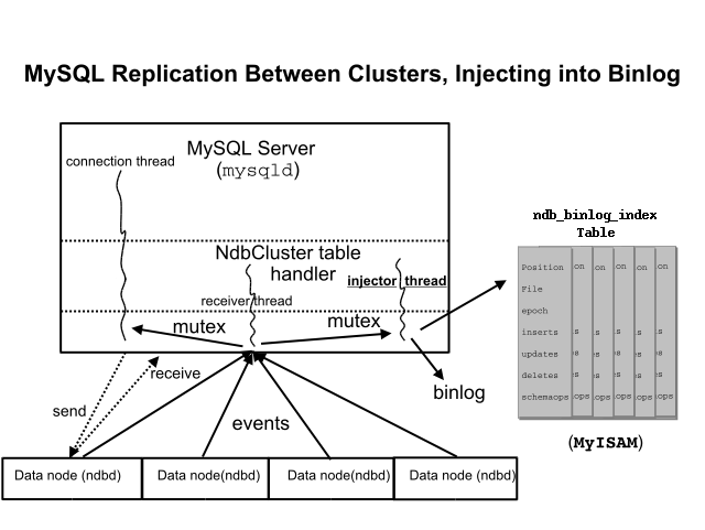 The replication master cluster, the
        binlog-injector thread, and the
        ndb_binlog_index table